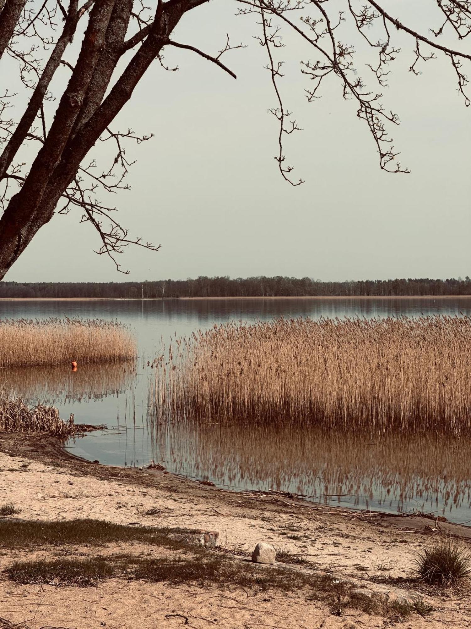 Swiat Jezior Apartment Mikołajki Екстериор снимка